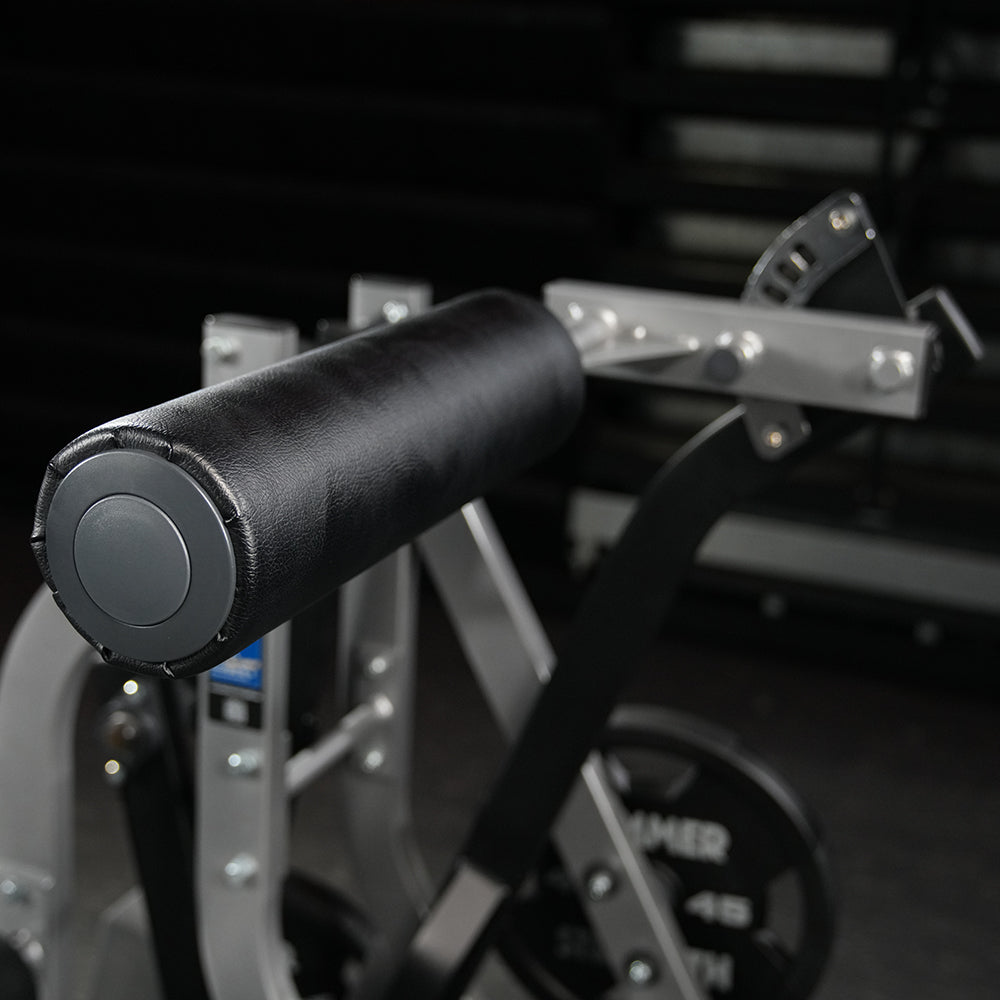 Hammer Strength Assisted Nordic Ham