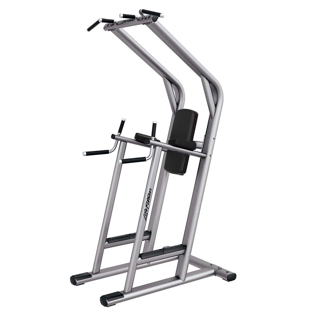 Life Fitness Chin/Dip/Leg Raise