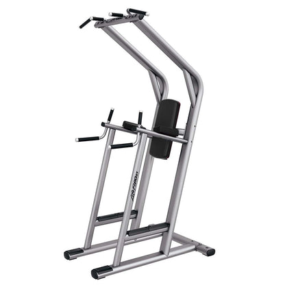 Life Fitness Chin/Dip/Leg Raise